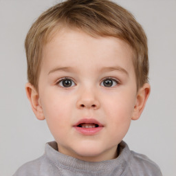 Neutral white child male with short  brown hair and brown eyes