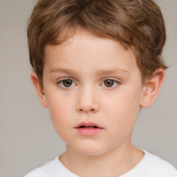 Neutral white child male with short  brown hair and brown eyes