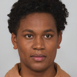 Joyful black young-adult male with short  brown hair and brown eyes