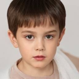 Neutral white child male with short  brown hair and brown eyes