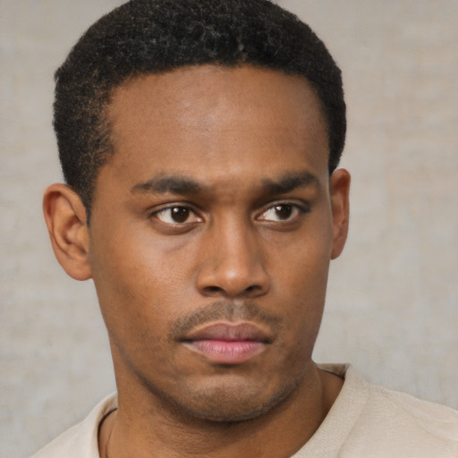 Neutral black young-adult male with short  black hair and brown eyes