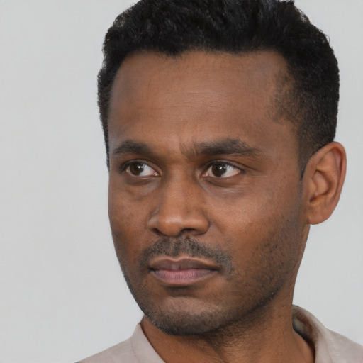 Neutral black young-adult male with short  black hair and brown eyes