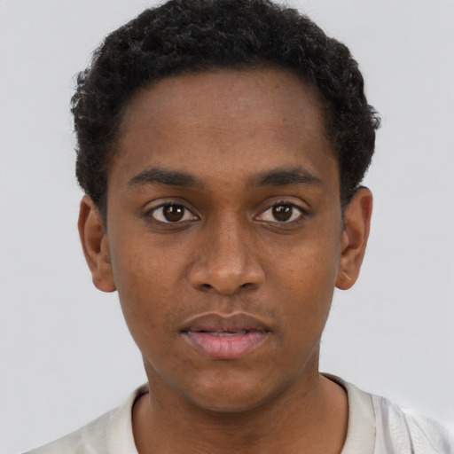 Neutral black young-adult male with short  brown hair and brown eyes