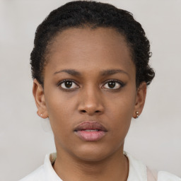 Neutral black young-adult female with short  brown hair and brown eyes