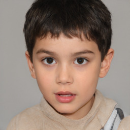 Neutral white child male with short  brown hair and brown eyes