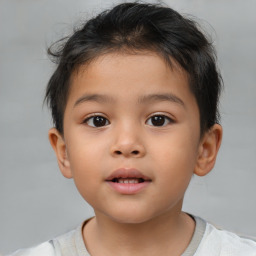 Neutral white child male with short  brown hair and brown eyes