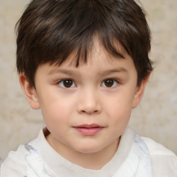 Neutral white child male with short  brown hair and brown eyes