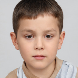 Neutral white child male with short  brown hair and brown eyes