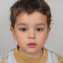 Neutral white child male with short  brown hair and brown eyes