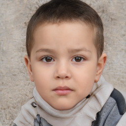 Neutral white child male with short  brown hair and brown eyes