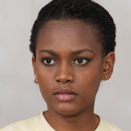 Neutral black young-adult female with short  brown hair and brown eyes