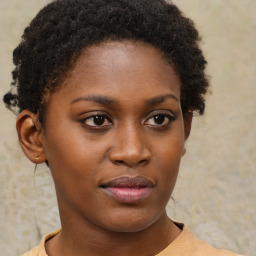 Neutral black young-adult female with short  brown hair and brown eyes