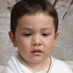 Neutral white child male with short  brown hair and brown eyes