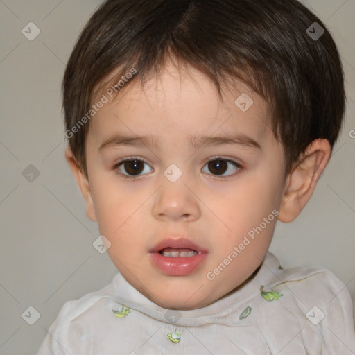 Neutral white child male with short  brown hair and brown eyes