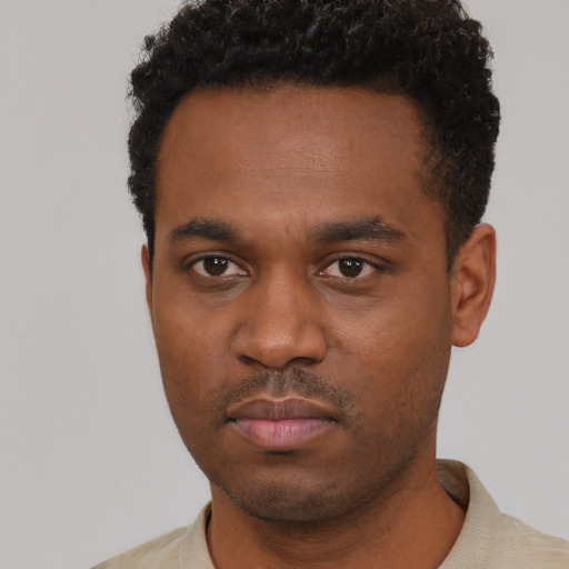 Neutral black young-adult male with short  black hair and brown eyes