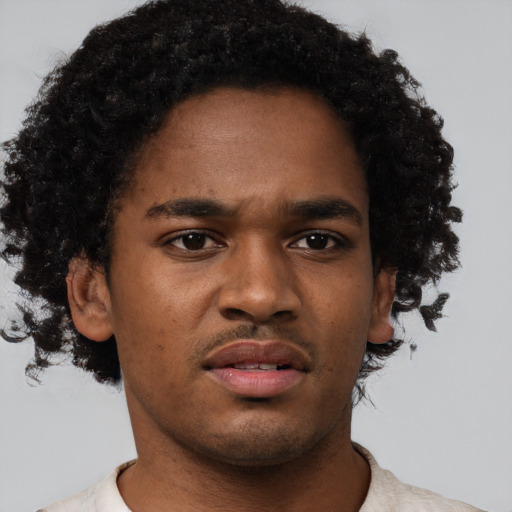 Neutral black young-adult male with short  brown hair and brown eyes