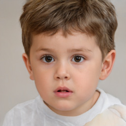 Neutral white child male with short  brown hair and brown eyes