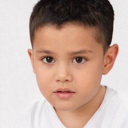 Neutral white child male with short  brown hair and brown eyes