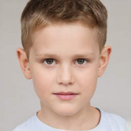 Neutral white child male with short  brown hair and brown eyes