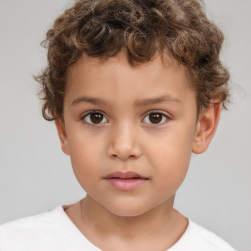 Neutral white child male with short  brown hair and brown eyes