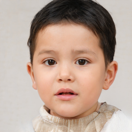 Neutral white child male with short  brown hair and brown eyes