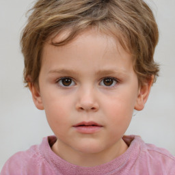 Neutral white child female with short  brown hair and brown eyes