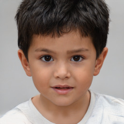 Joyful white child male with short  brown hair and brown eyes