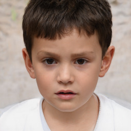 Neutral white child male with short  brown hair and brown eyes