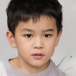 Neutral white child male with short  brown hair and brown eyes