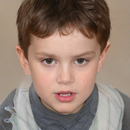 Neutral white child male with short  brown hair and brown eyes