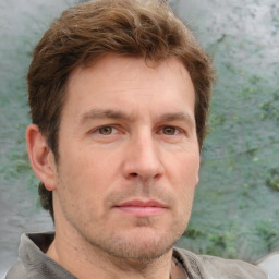 Neutral white adult male with short  brown hair and grey eyes