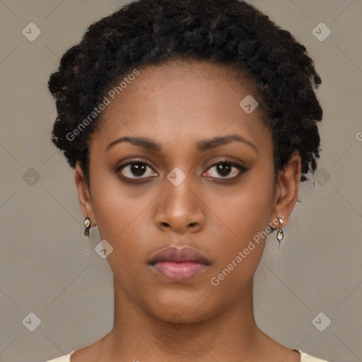 Neutral black young-adult female with short  black hair and brown eyes