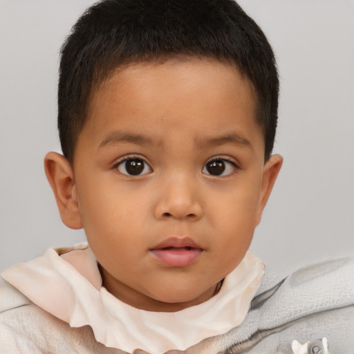 Neutral white child male with short  brown hair and brown eyes