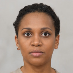 Neutral black young-adult female with short  brown hair and brown eyes