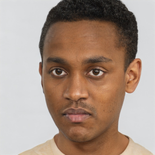 Neutral black young-adult male with short  black hair and brown eyes