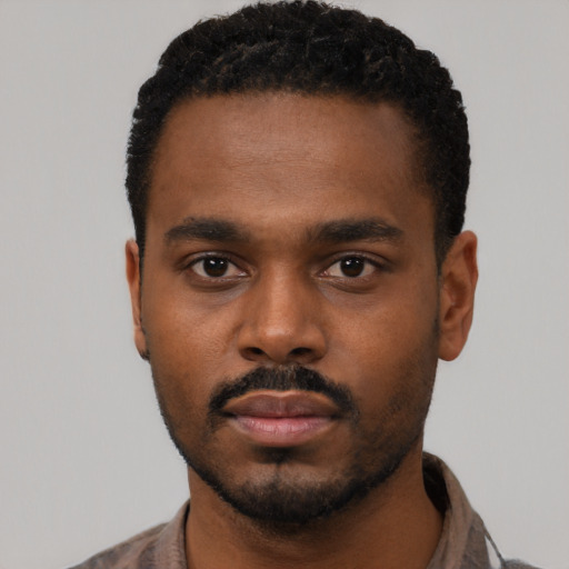 Neutral black young-adult male with short  black hair and brown eyes