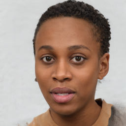 Neutral black young-adult female with short  brown hair and brown eyes