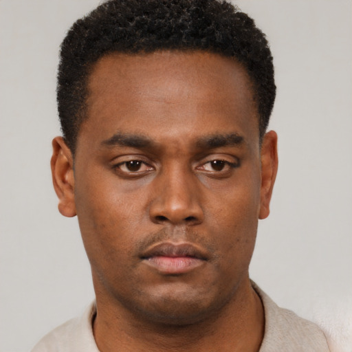 Neutral black young-adult male with short  black hair and brown eyes