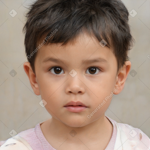 Neutral white child male with short  brown hair and brown eyes