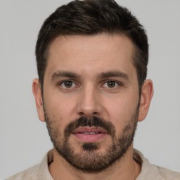 Joyful white young-adult male with short  brown hair and brown eyes