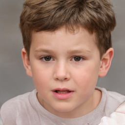 Neutral white child male with short  brown hair and brown eyes