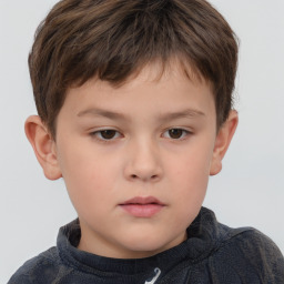 Neutral white child male with short  brown hair and brown eyes