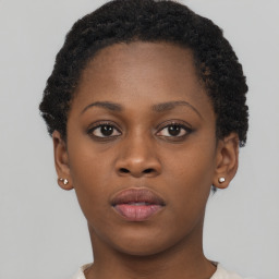 Neutral black young-adult female with short  brown hair and brown eyes