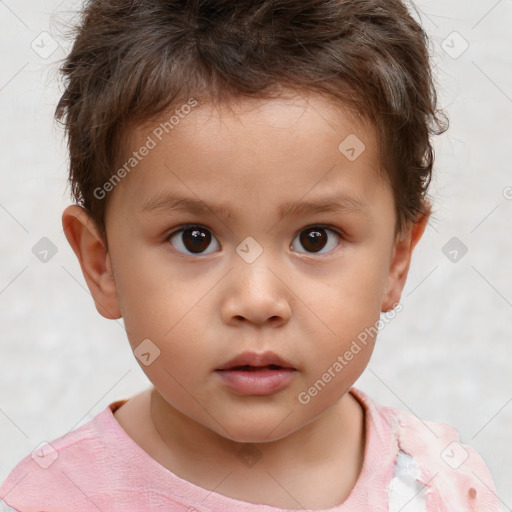 Neutral white child male with short  brown hair and brown eyes