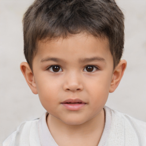 Neutral white child male with short  brown hair and brown eyes