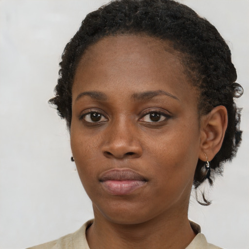 Neutral black young-adult female with short  brown hair and brown eyes
