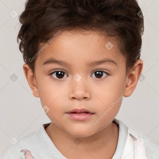 Neutral white child male with short  brown hair and brown eyes