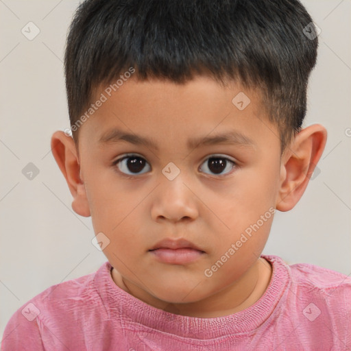 Neutral white child male with short  brown hair and brown eyes