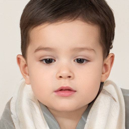 Neutral white child male with short  brown hair and brown eyes