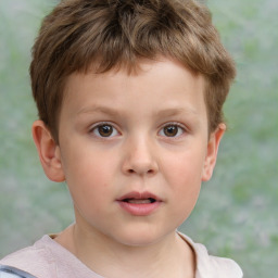 Neutral white child male with short  brown hair and brown eyes